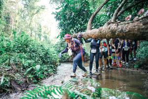 BIB: 
                            <button type="button" onclick="openModal(25471985)" class="btn btn-primary btn-sm float-right btn-popup" data-toggle="modal" data-target=".modal-high-quality">
                        <i class="fas fa-shopping-cart"></i> Add to Cart
                    </button>
                                            <button type="button" onclick="isThisMe(25471985, true)" class="btn btn-success btn-sm float-right btn-popup btn-isme hidden" data-toggle="tooltip" data-placement="bottom" title="นี่คือรูปของคุณใช่ไหม คลิกที่นี่เพื่อเอาเข้าอัลบั้ม">
                        <i class="fas fa-plus"></i> Add to album
                    </button>
                    <button type="button" onclick="isThisMe(25471985, false)" class="btn btn-warning btn-sm float-right btn-popup btn-isnotme hidden">
                        <i class="fas fa-ban"></i> Remove from album
                    </button>